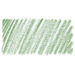 Caran d'Ache Luminance Colored Pencil - Chromium Oxide Green swatch