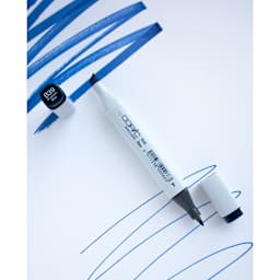 Copic Classic Markers have a fine point nib and chisel nib.