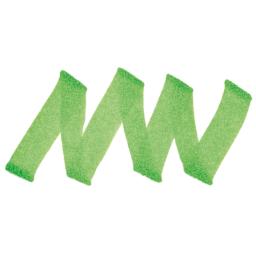 Copic Classic Marker - Apple Green G14 swatch