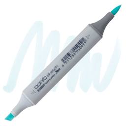 Copic Sketch Marker - Snow Green BG0000 marker and swatch