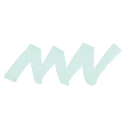 Copic Ciao Double Ended Marker - Pale Green G000 swatch