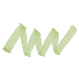 Copic Ciao Double Ended Marker - Spring Dim Green G82 swatch