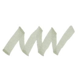 Copic Ciao Double Ended Marker - Green Gray BG93 swatch