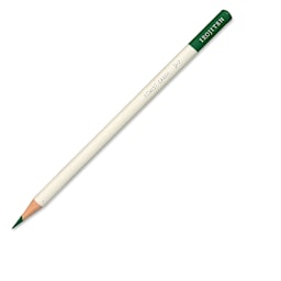 Irojiten Color Pencil - Forest Green