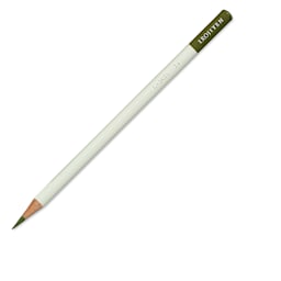 Irojiten Color Pencil - Elm Green