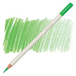 Irojiten Color Pencil - Vigorous Green pencil and swatch