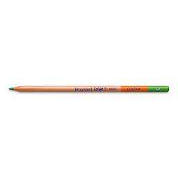 Bruynzeel Design Colored Pencil - Light Green