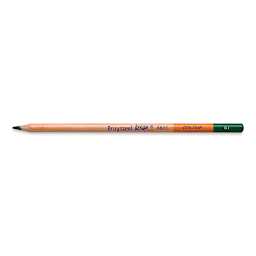 Bruynzeel Design Colored Pencil - Dark Green