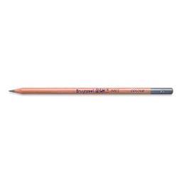 Bruynzeel Design Colored Pencil - Silver