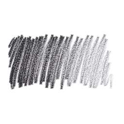 Caran D'Ache Museum Aquarelle Pencil - Black swatch