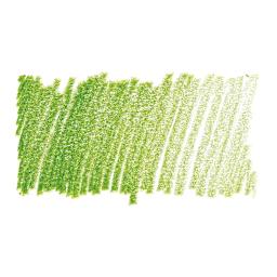 Caran D'Ache Museum Aquarelle Pencil - Light Olive swatch