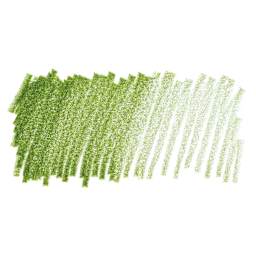 Caran D'Ache Museum Aquarelle Pencil - Olive swatch