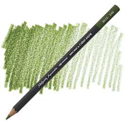 Caran D'Ache Museum Aquarelle Pencil - Olive pencil and swatch