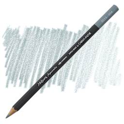 Caran D'Ache Museum Aquarelle Pencil - Steel Grey pencil and swatch