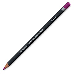 Derwent ProColour Colored Pencil - Magenta