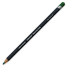 Derwent ProColour Colored Pencil - Sap Green