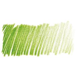 Derwent ProColour Colored Pencil - Moss Green swatch