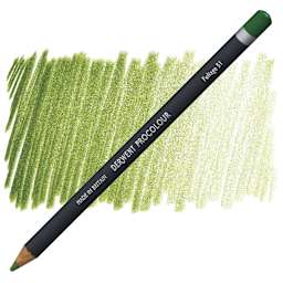 Derwent ProColour Colored Pencil - Foliage pencil and swatch