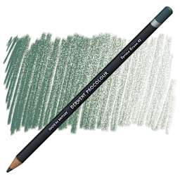 Derwent ProColour Colored Pencil - Spruce Green pencil and swatch