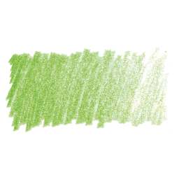 Caran d'Ache Colorblock Maxi Fluo Colored Pencil - Fluorescent Green swatch