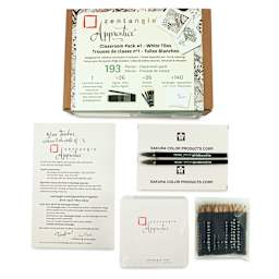 Sakura Zentangle Set - Class Pack, Set of 193