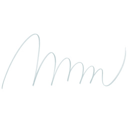 Pentel Arts Brush Tip Sign Pen - Light Gray swatch