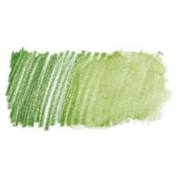 Faber Castell Goldfaber Aqua Watercolor Pencil - Permanent Green 167 swatch