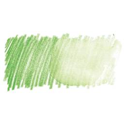 Faber Castell Goldfaber Aqua Watercolor Pencil - Grass Green 166 swatch