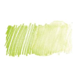 Faber Castell Goldfaber Aqua Watercolor Pencil - May Green 170 swatch