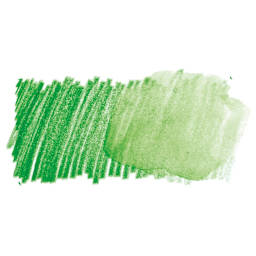 Faber Castell Goldfaber Aqua Watercolor Pencil - Permanent Green 266 swatch