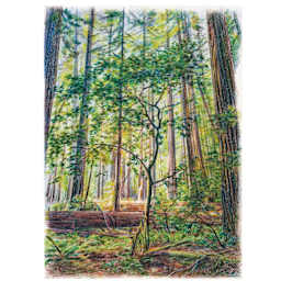 Artwork made with Faber-Castell Goldfaber Color Pencils - Set of 12, Landscape Colors