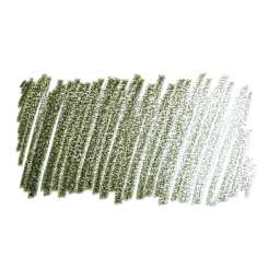 Faber-Castell Goldfaber Color Pencil - Olive Green Yellowish 173 swatch