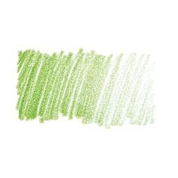 Faber-Castell Goldfaber Color Pencil - Grass Gree 166 swatch