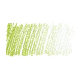 Faber-Castell Goldfaber Color Pencil - May Green 170 swatch