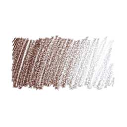 Faber-Castell Goldfaber Color Pencil - Van Dyck Brown 176 swatch