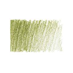 Cretacolor Mega Colored Pencil - Olive Green Dark swatch