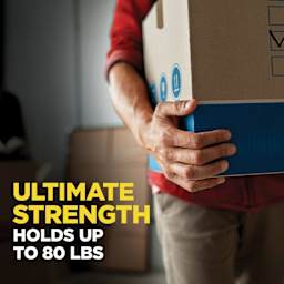 Ultimate strength, holds up to 80 lbs