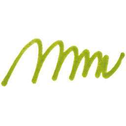 Amsterdam Acrylic Marker - Olive Green Light, 4 mm swatch