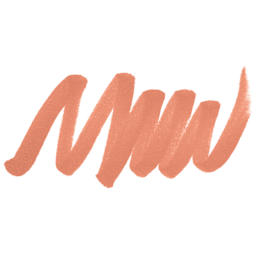 Blick Studio Brush Marker - Spice swatch