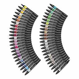 Winsor & Newton Promarker Brush Markers - Essential Colors, Set of 48 (markers out of case)