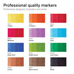 Winsor & Newton Promarker Brush Markers - Vibrant Tones, Set of 12, color swatches