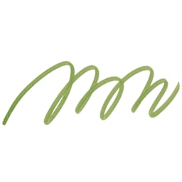 Winsor & Newton Promarker - Herb Green swatch