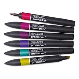 Winsor & Newton Promarker - Rich Tones, Set of 6, out of packaging