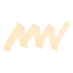 Winsor & Newton Promarker - Vanilla swatch