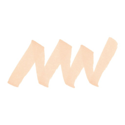 Winsor & Newton Promarker - Oatmeal swatch