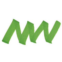 Winsor & Newton Promarker - Forrest Green, swatch