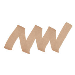 Winsor & Newton Promarker - Cinnamon, swatch