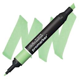 Winsor & Newton Promarker - Apple marker and swatch