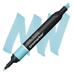 Winsor & Newton Promarker - Duck Egg marker and swatch