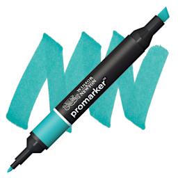Winsor & Newton Promarker - Turquoise marker and swatch
